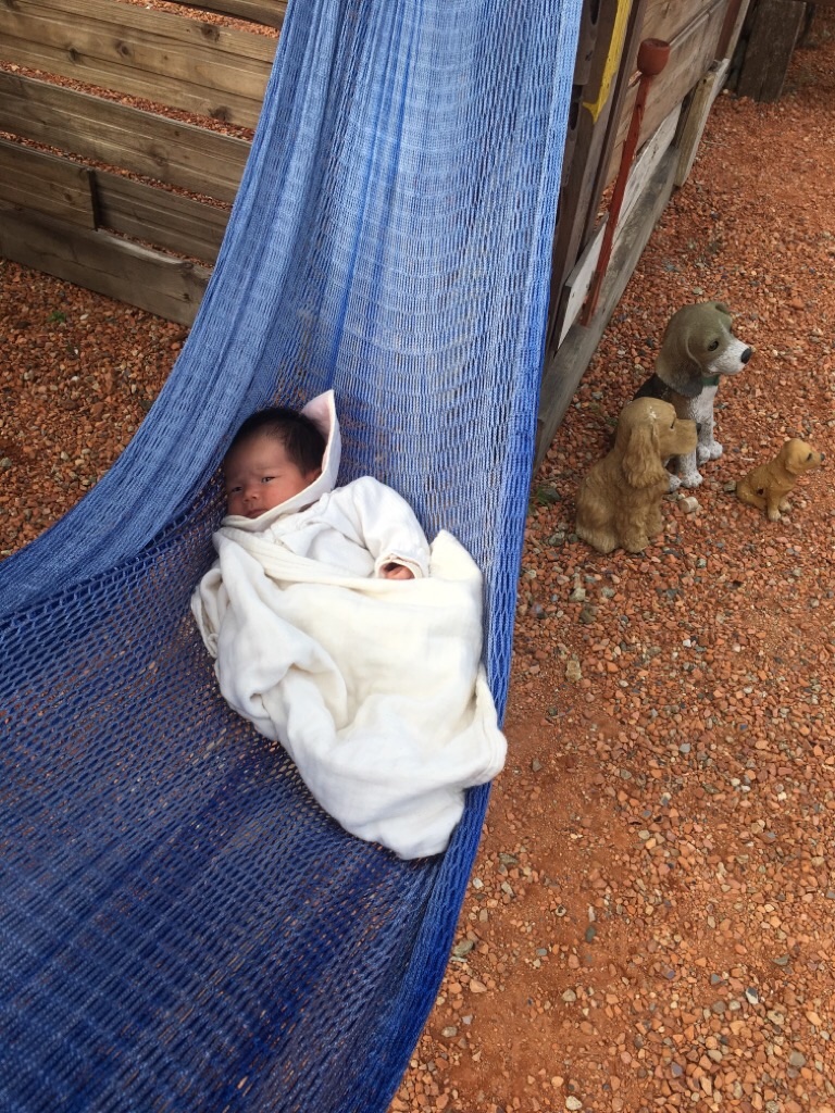 f:id:zappa38:20201021212319j:image f:id:zappa38:20201021212319j:image