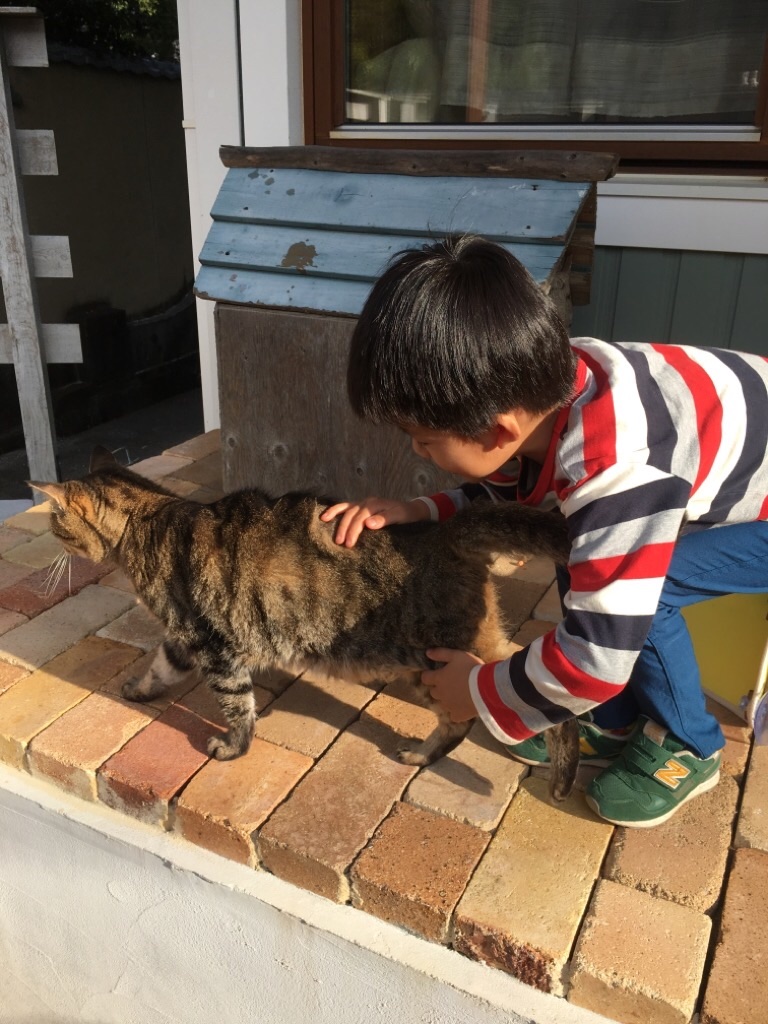 f:id:zappa38:20201021212326j:image f:id:zappa38:20201021212326j:image