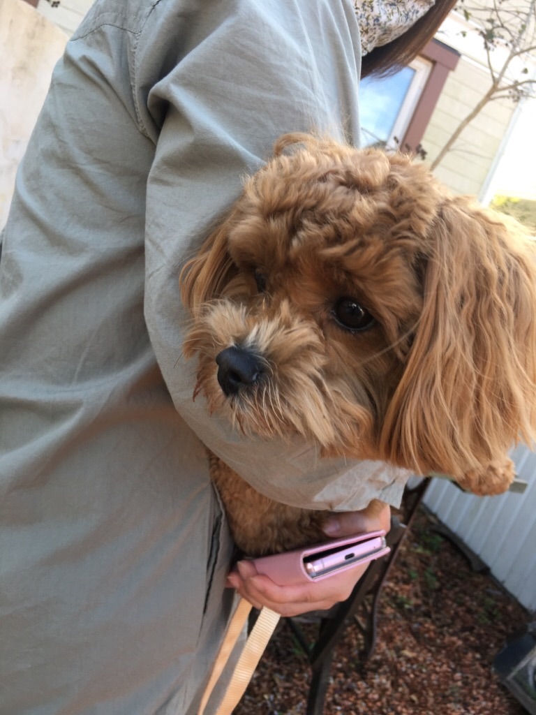 f:id:zappa38:20201021212330j:image f:id:zappa38:20201021212330j:image