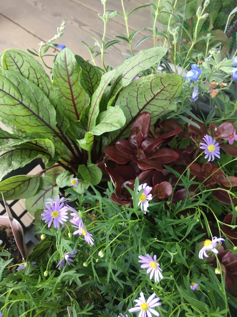 f:id:zappa38:20201021212340j:image f:id:zappa38:20201021212340j:image