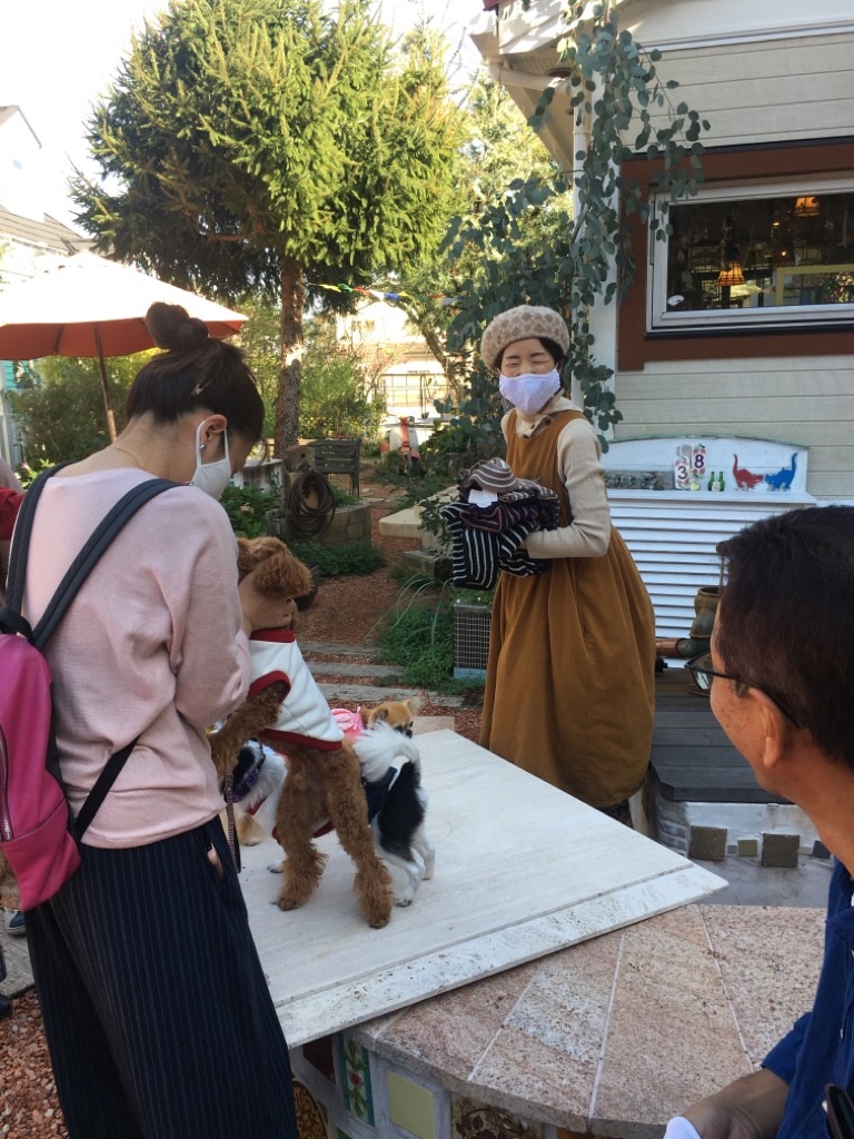 f:id:zappa38:20201021212358j:image f:id:zappa38:20201021212358j:image