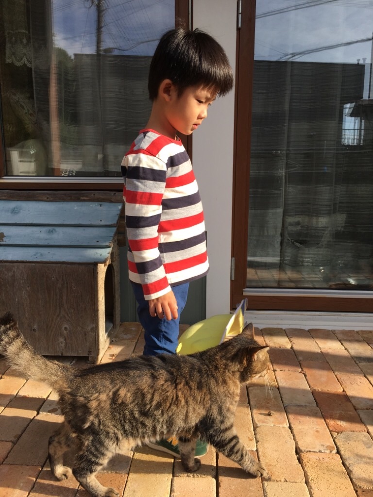 f:id:zappa38:20201021212412j:image f:id:zappa38:20201021212412j:image