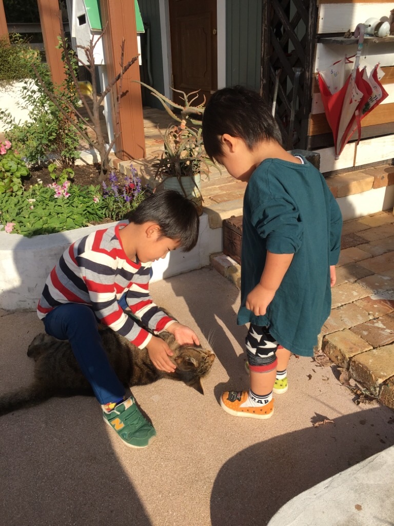 f:id:zappa38:20201021212422j:image f:id:zappa38:20201021212422j:image