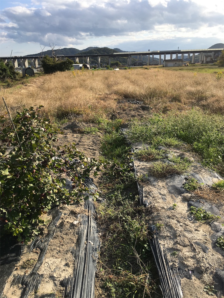 f:id:zappa38:20201030194718j:image f:id:zappa38:20201030194718j:image