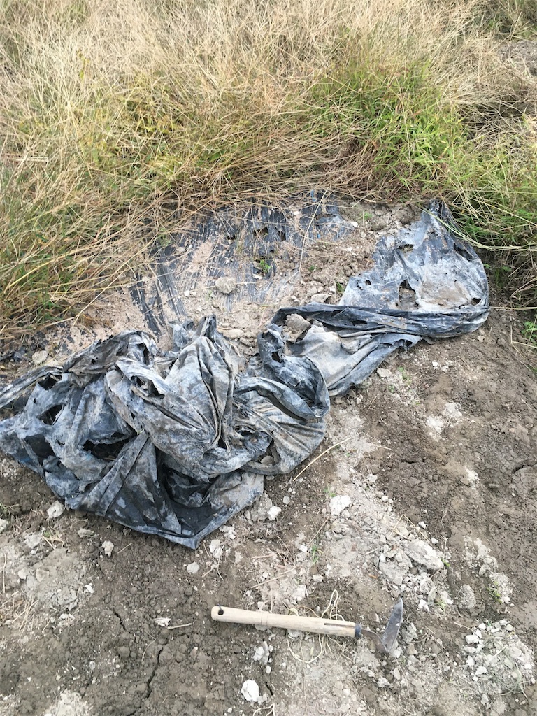 f:id:zappa38:20201030194743j:image f:id:zappa38:20201030194743j:image