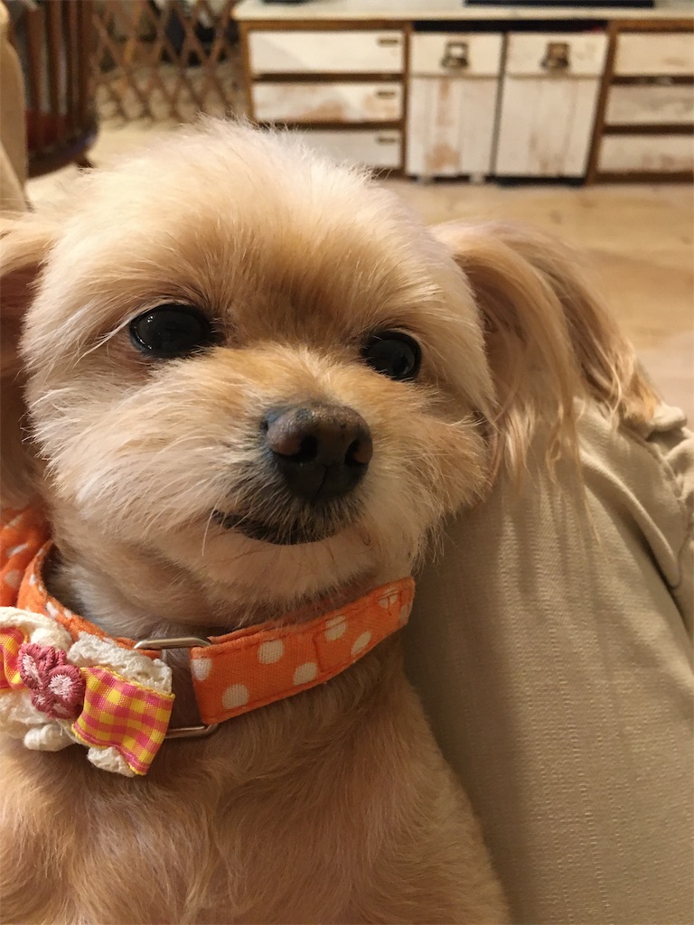 f:id:zappa38:20201030194747j:image f:id:zappa38:20201030194747j:image