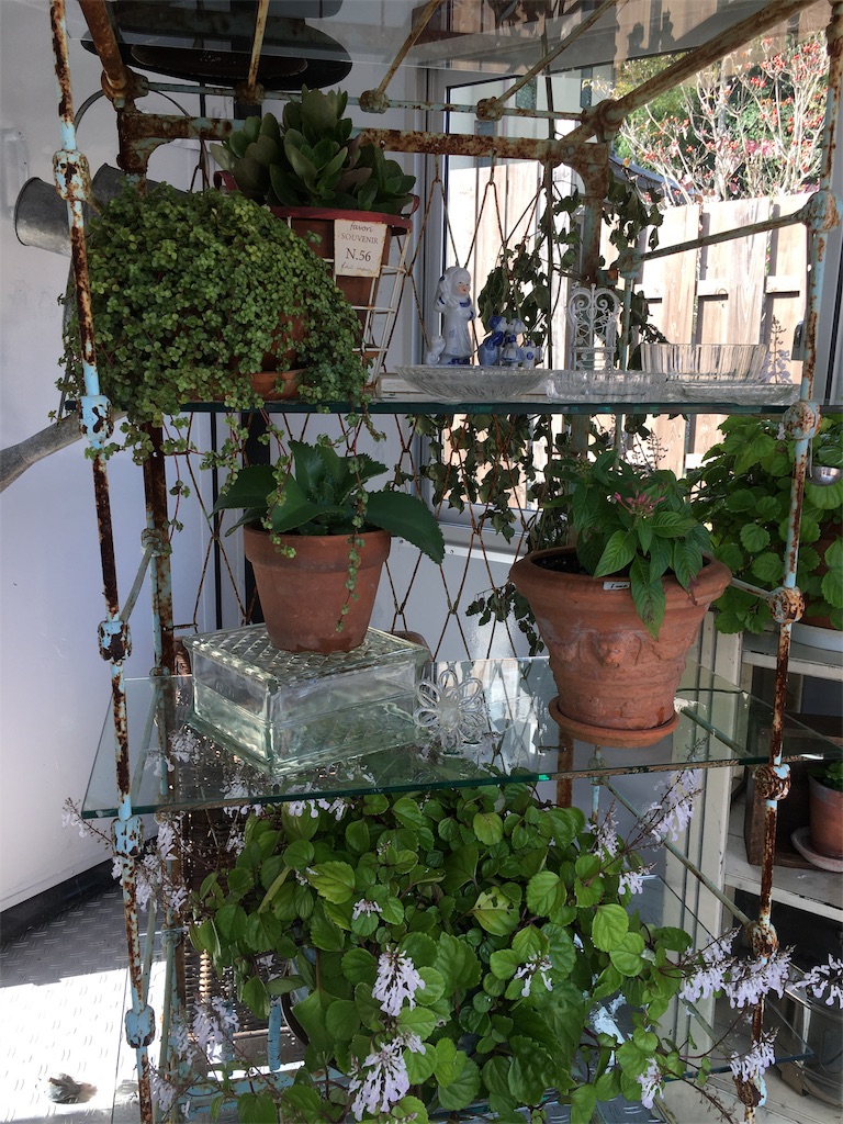 f:id:zappa38:20201030194817j:image f:id:zappa38:20201030194817j:image