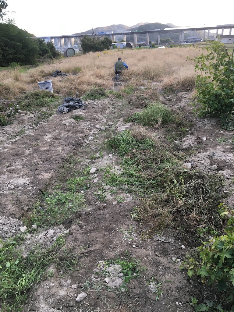 f:id:zappa38:20201030194846j:image f:id:zappa38:20201030194846j:image