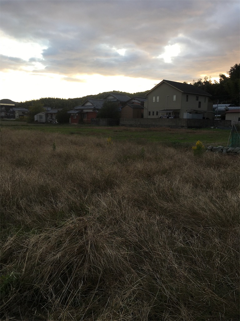 f:id:zappa38:20201030194853j:image f:id:zappa38:20201030194853j:image