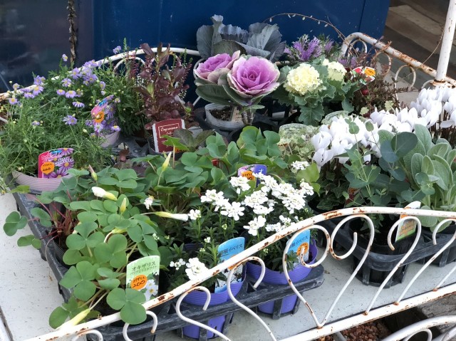 f:id:zappa38:20201122033604j:image f:id:zappa38:20201122033604j:image