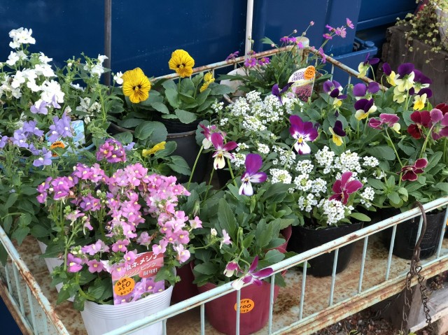 f:id:zappa38:20201122033806j:image f:id:zappa38:20201122033806j:image