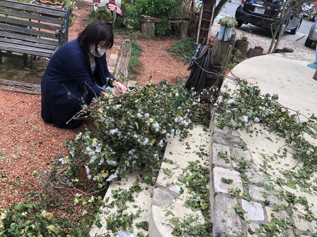 f:id:zappa38:20201128024936j:image