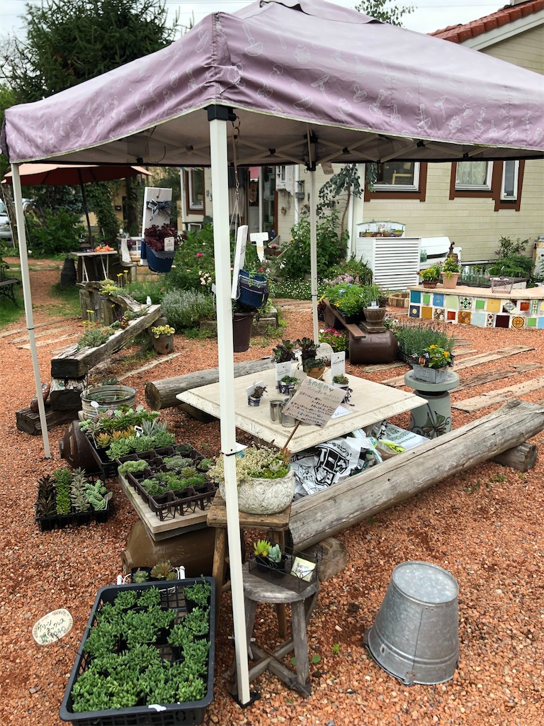 f:id:zappa38:20210707054744j:image f:id:zappa38:20210707054744j:image