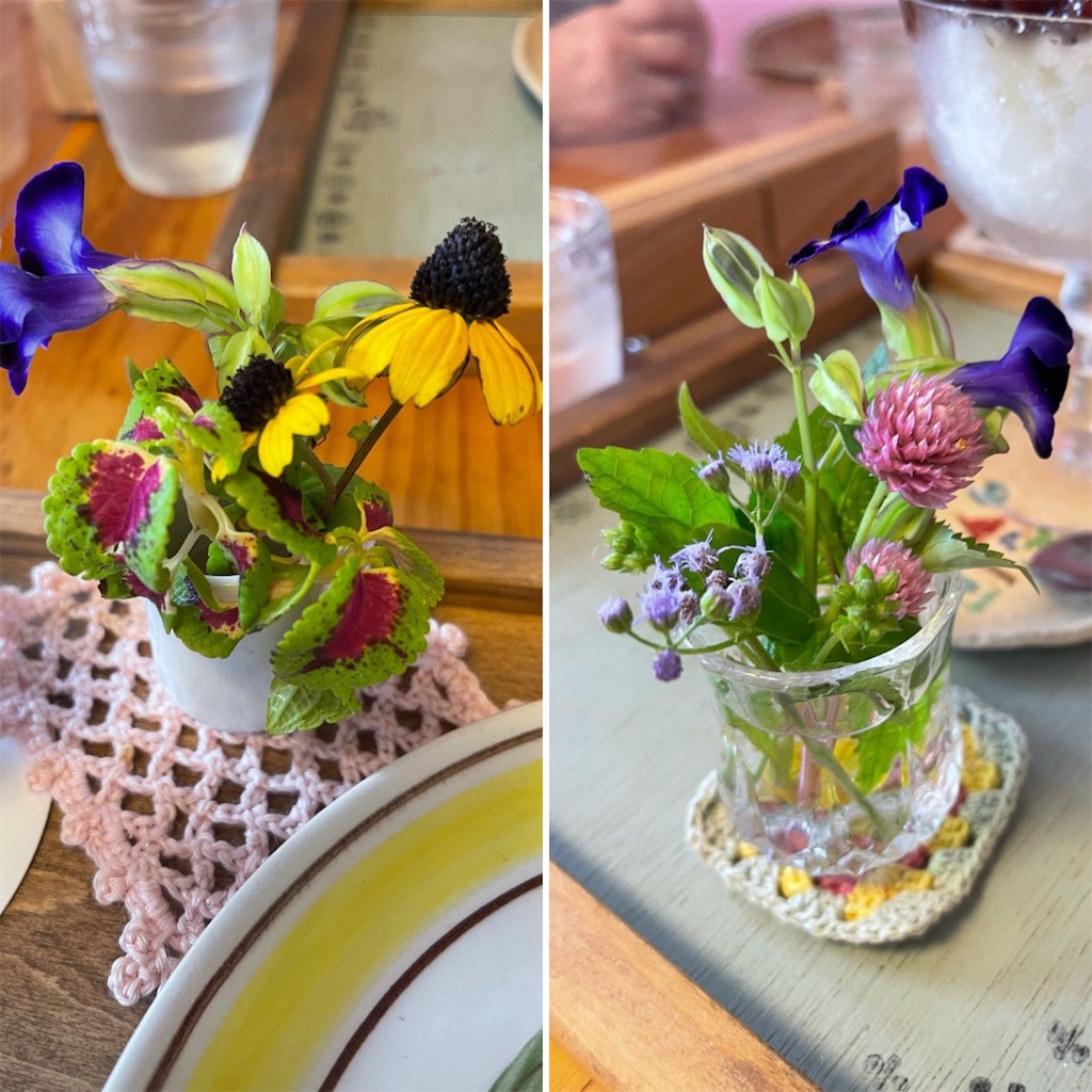 f:id:zappa38:20210826212325j:image f:id:zappa38:20210826212325j:image