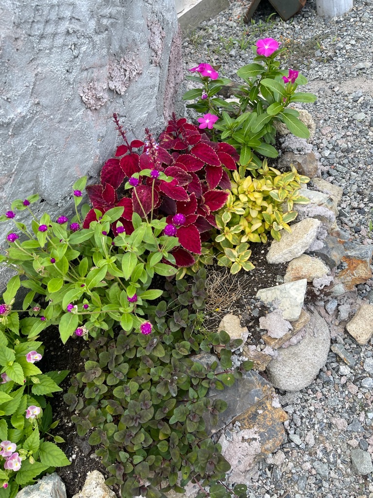 f:id:zappa38:20210906204316j:image