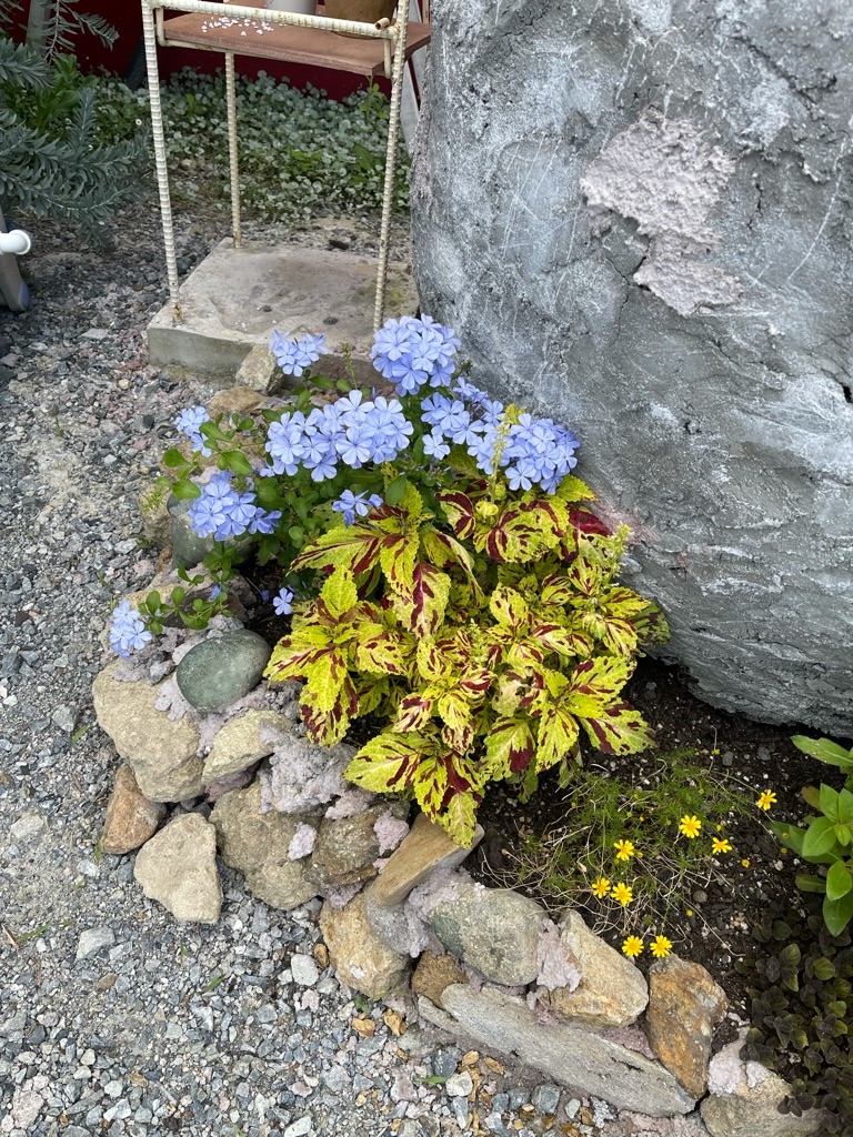 f:id:zappa38:20210906204337j:image