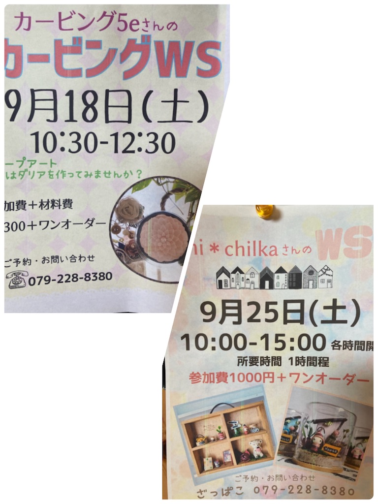 f:id:zappa38:20210908032929j:image