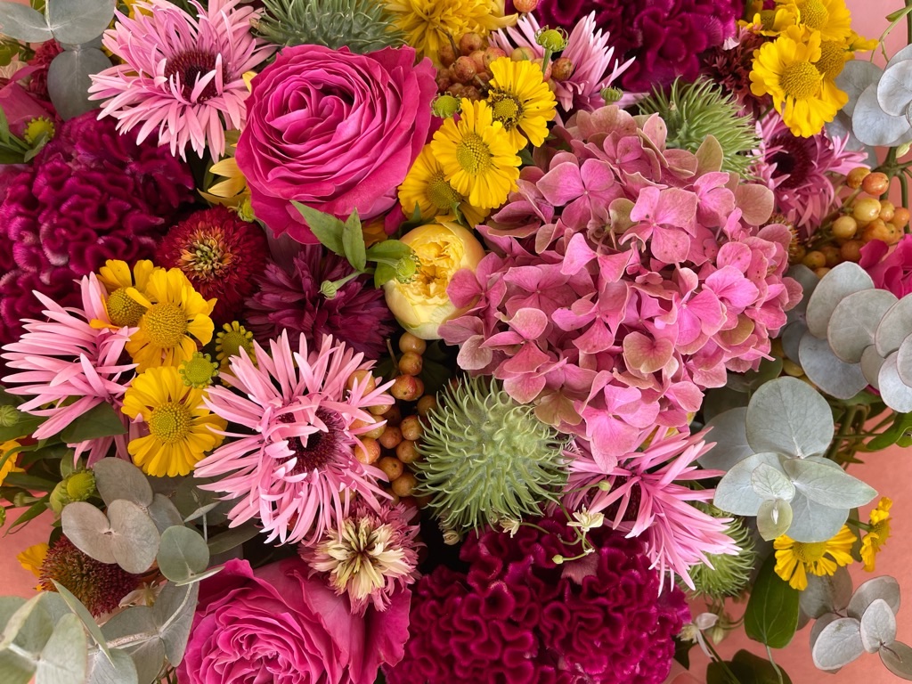 f:id:zappa38:20210908050110j:image f:id:zappa38:20210908050110j:image