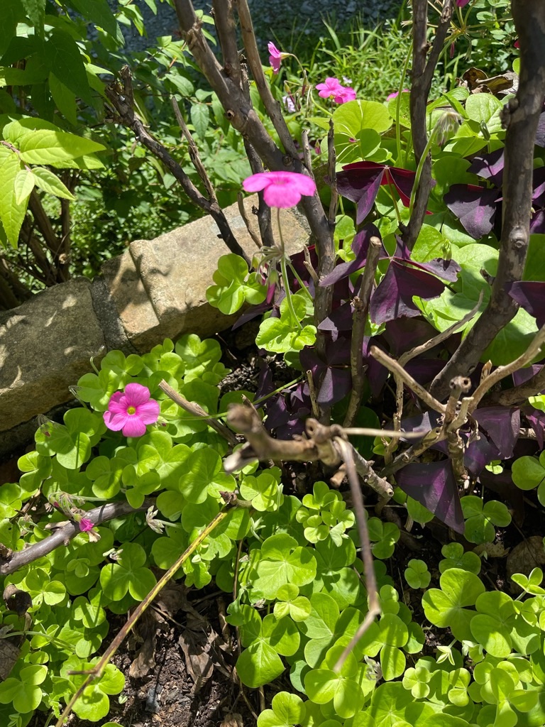 f:id:zappa38:20210922164901j:image f:id:zappa38:20210922164901j:image