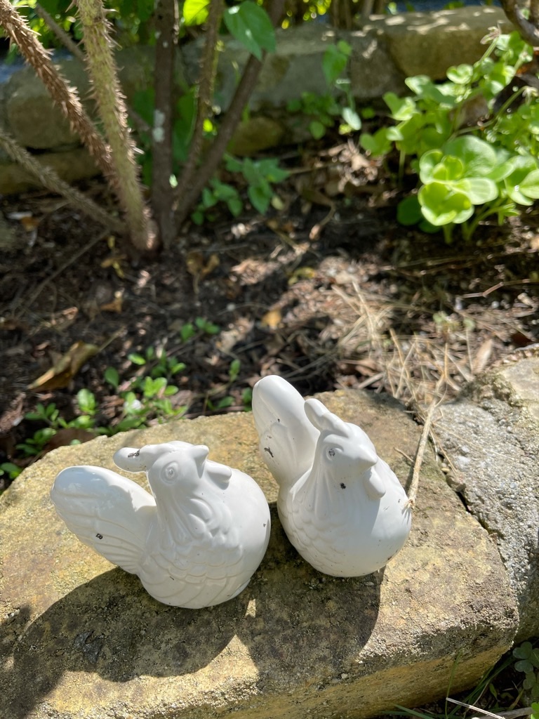 f:id:zappa38:20210922164924j:image f:id:zappa38:20210922164924j:image