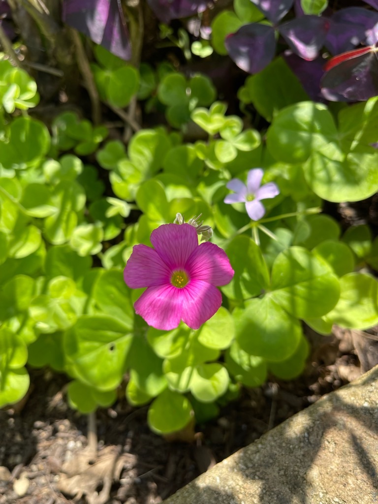 f:id:zappa38:20210922164926j:image f:id:zappa38:20210922164926j:image