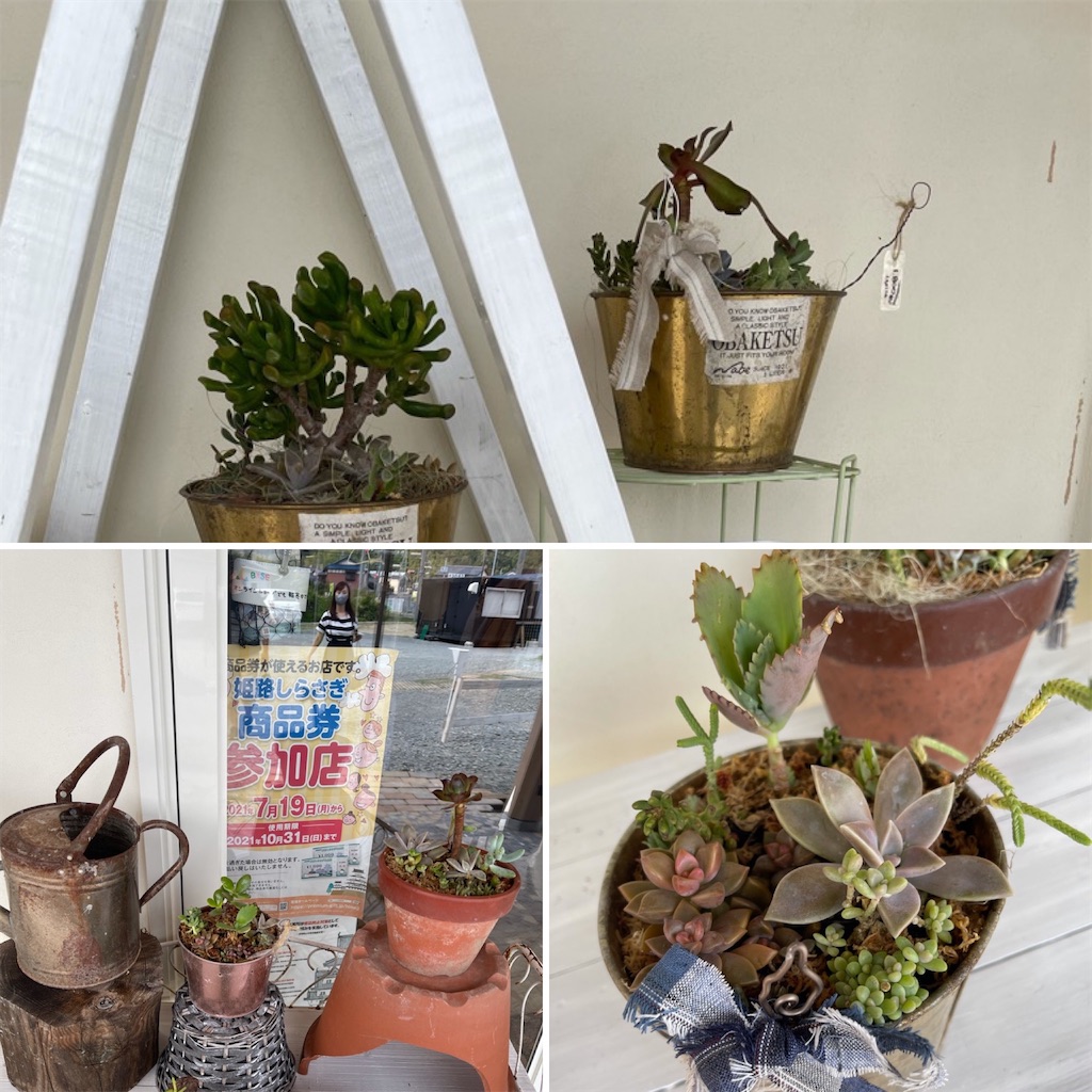 f:id:zappa38:20210923204844j:image f:id:zappa38:20210923204844j:image