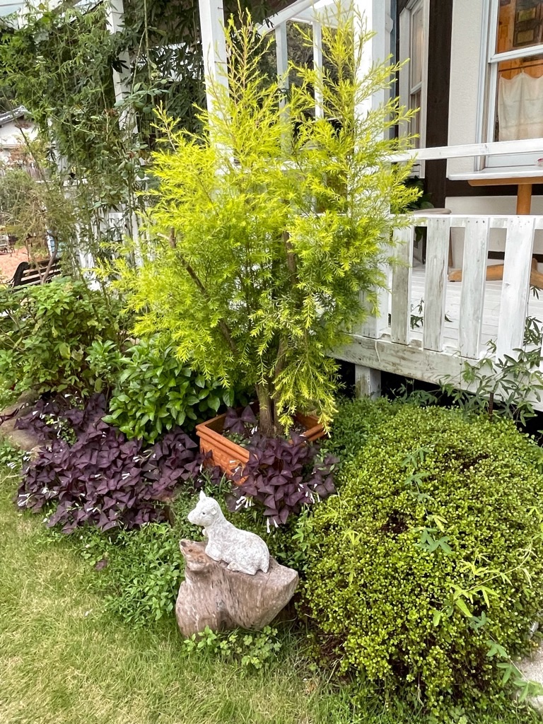 f:id:zappa38:20210923204857j:image f:id:zappa38:20210923204857j:image