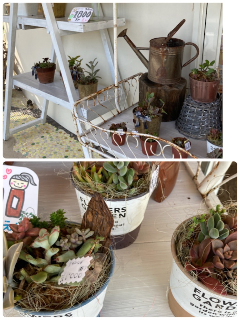 f:id:zappa38:20210925154851j:image f:id:zappa38:20210925154851j:image