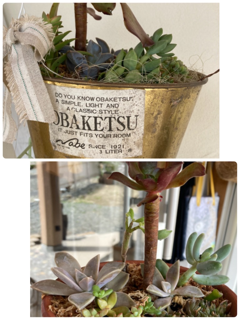 f:id:zappa38:20210925154905j:image f:id:zappa38:20210925154905j:image