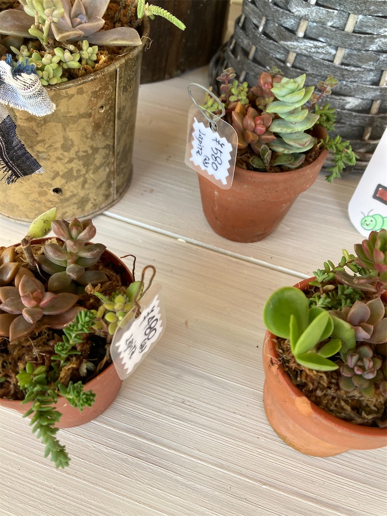 f:id:zappa38:20210925154956j:image f:id:zappa38:20210925154956j:image