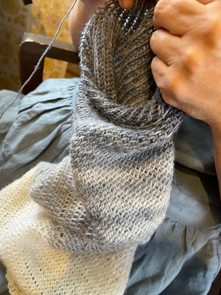 f:id:zappa38:20210925210739j:image