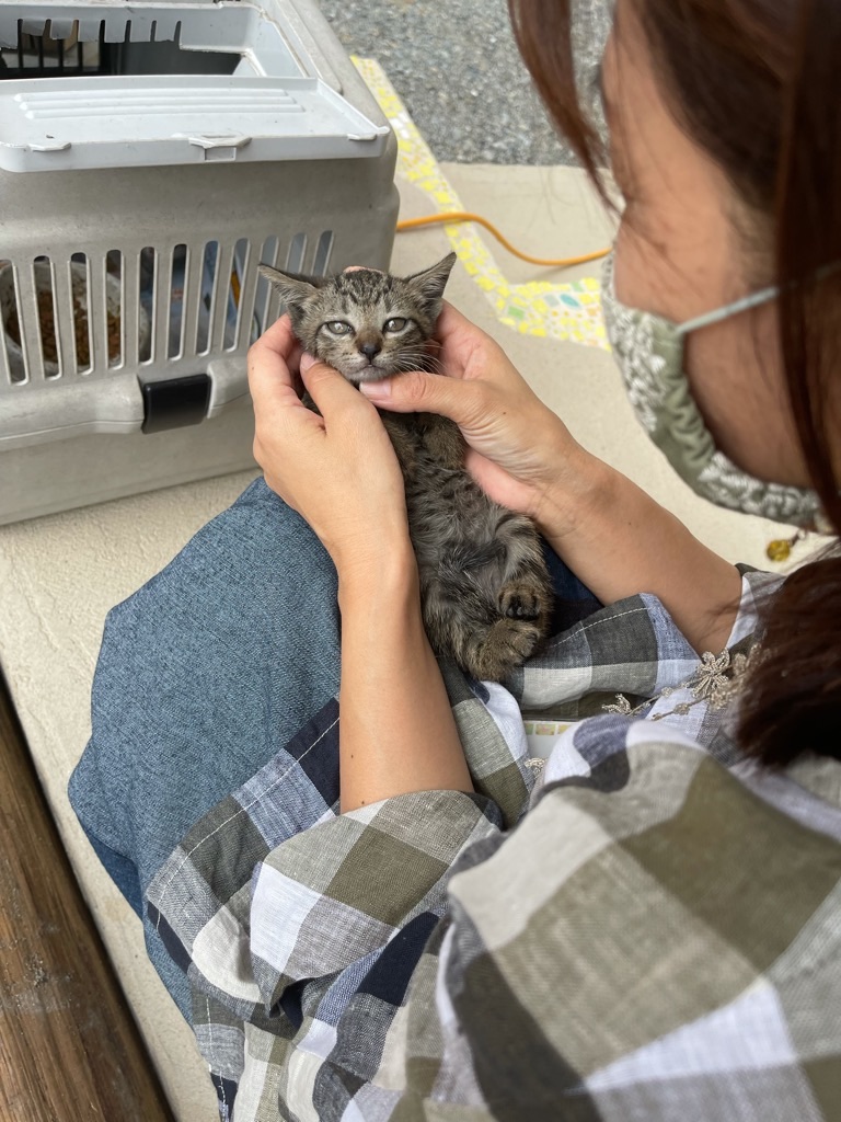 f:id:zappa38:20210926203249j:image f:id:zappa38:20210926203249j:image