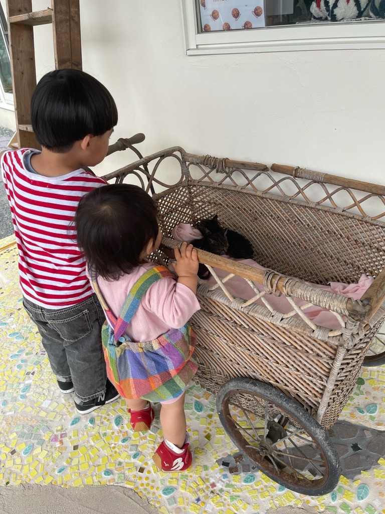 f:id:zappa38:20210926203253j:image f:id:zappa38:20210926203253j:image