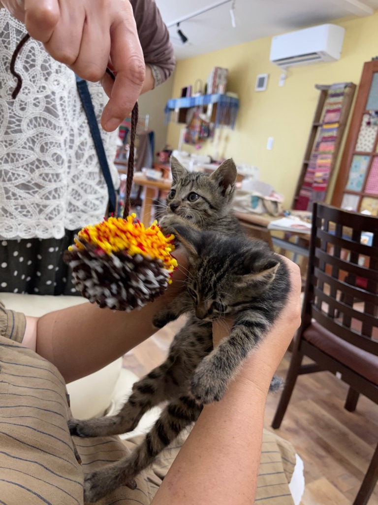 f:id:zappa38:20210928205149j:image