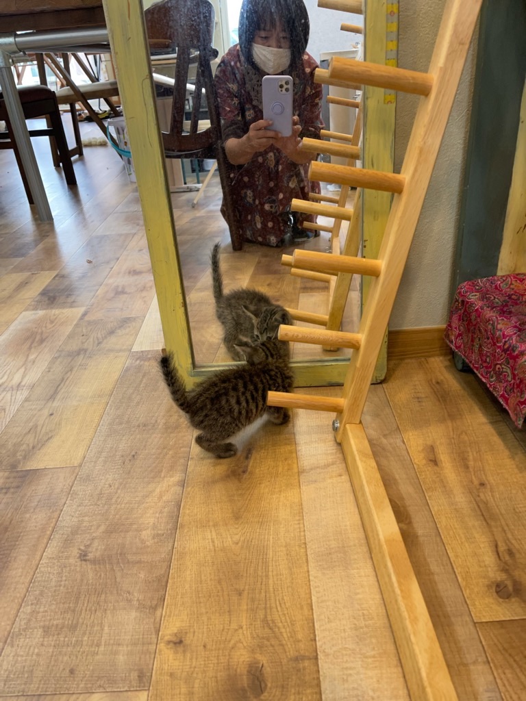 f:id:zappa38:20210928205232j:image