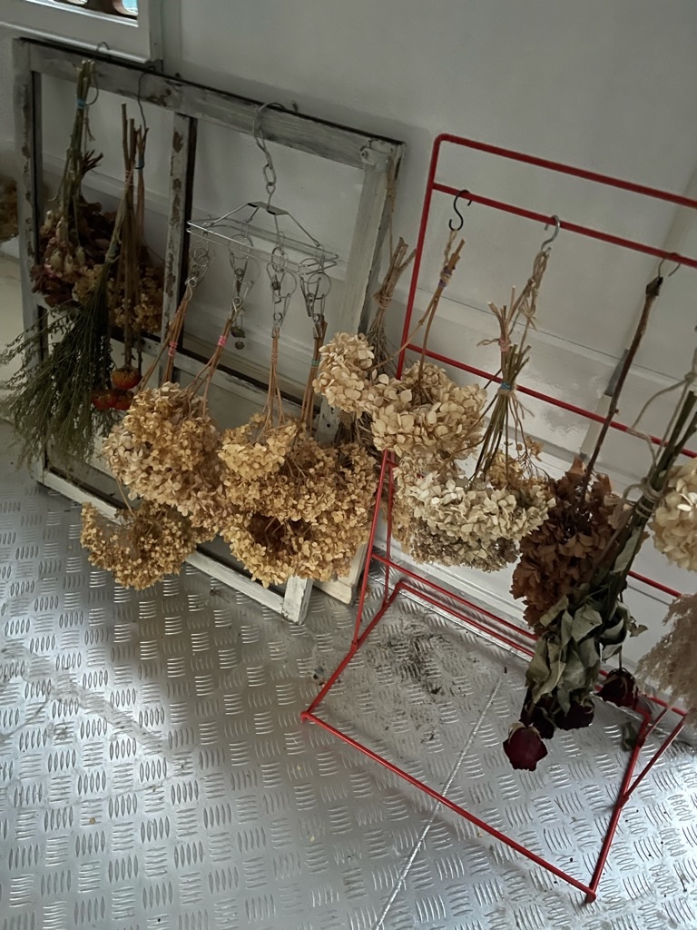 f:id:zappa38:20210929202556j:image