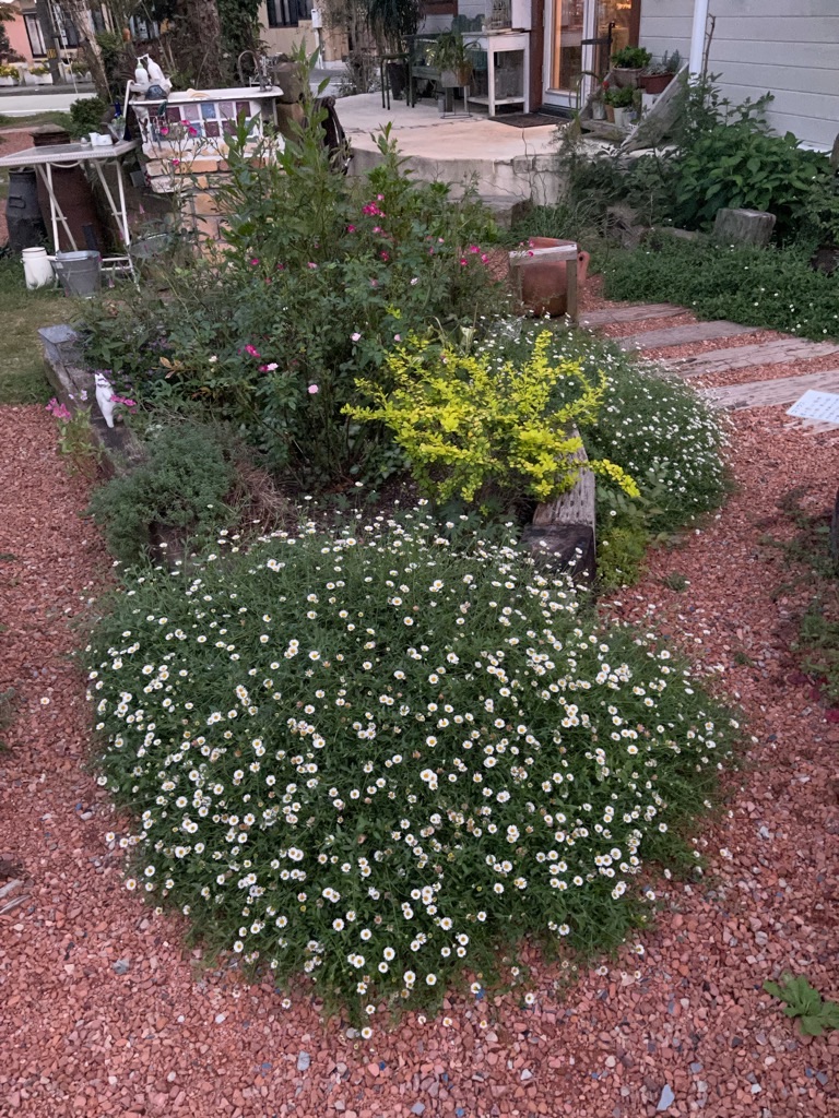 f:id:zappa38:20210929202621j:image