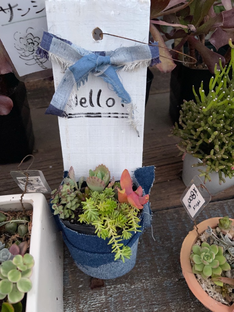 f:id:zappa38:20210929202624j:image