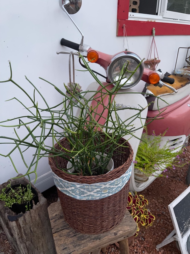 f:id:zappa38:20210929202638j:image