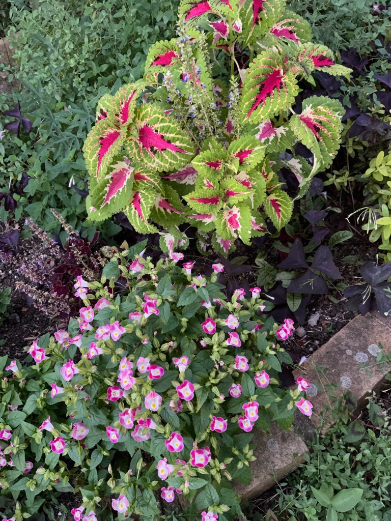 f:id:zappa38:20210929202727j:image