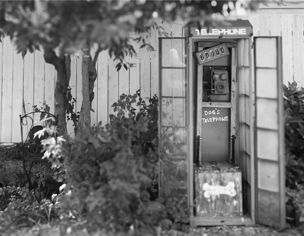 f:id:zappa38:20211031211808j:image f:id:zappa38:20211031211808j:image