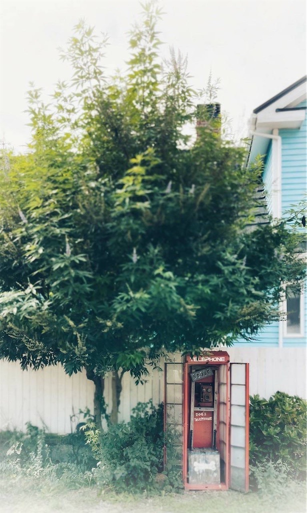 f:id:zappa38:20211031212010j:image f:id:zappa38:20211031212010j:image