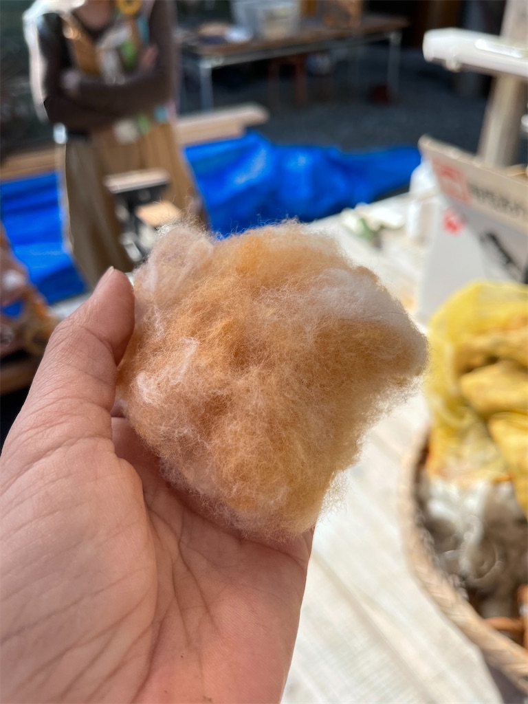 f:id:zappa38:20211114193954j:image