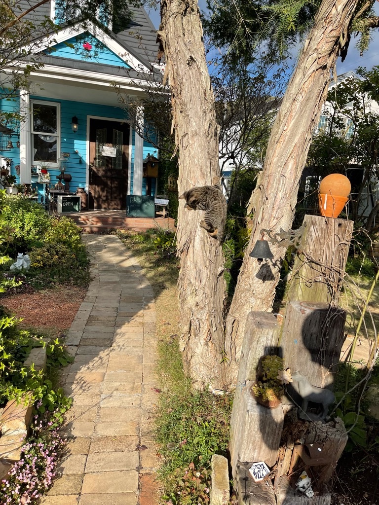 f:id:zappa38:20211114195214j:image