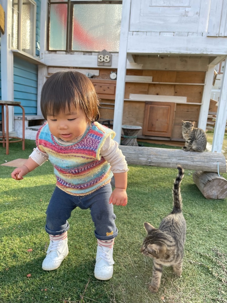 f:id:zappa38:20211114195247j:image