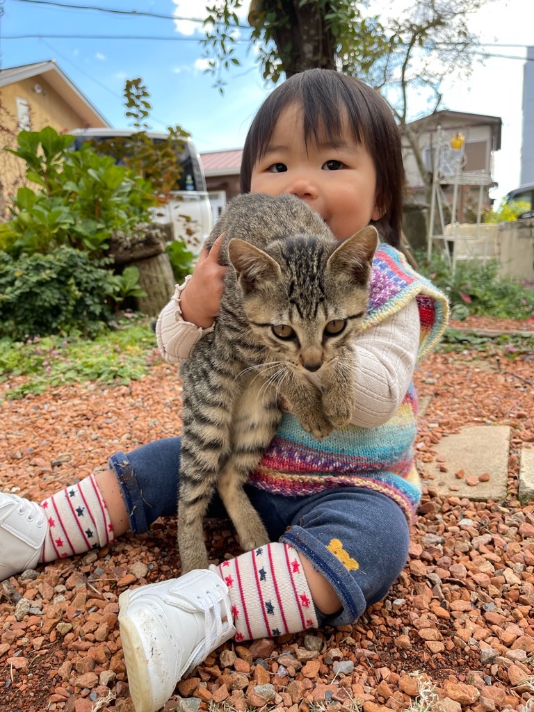 f:id:zappa38:20211114200402j:image