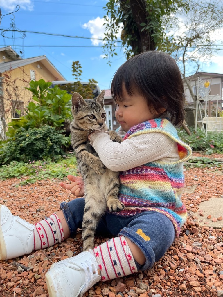 f:id:zappa38:20211114200423j:image