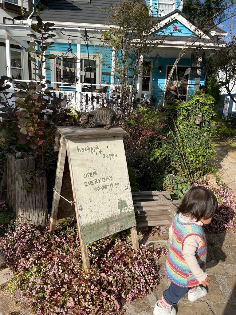 f:id:zappa38:20211114200429j:image