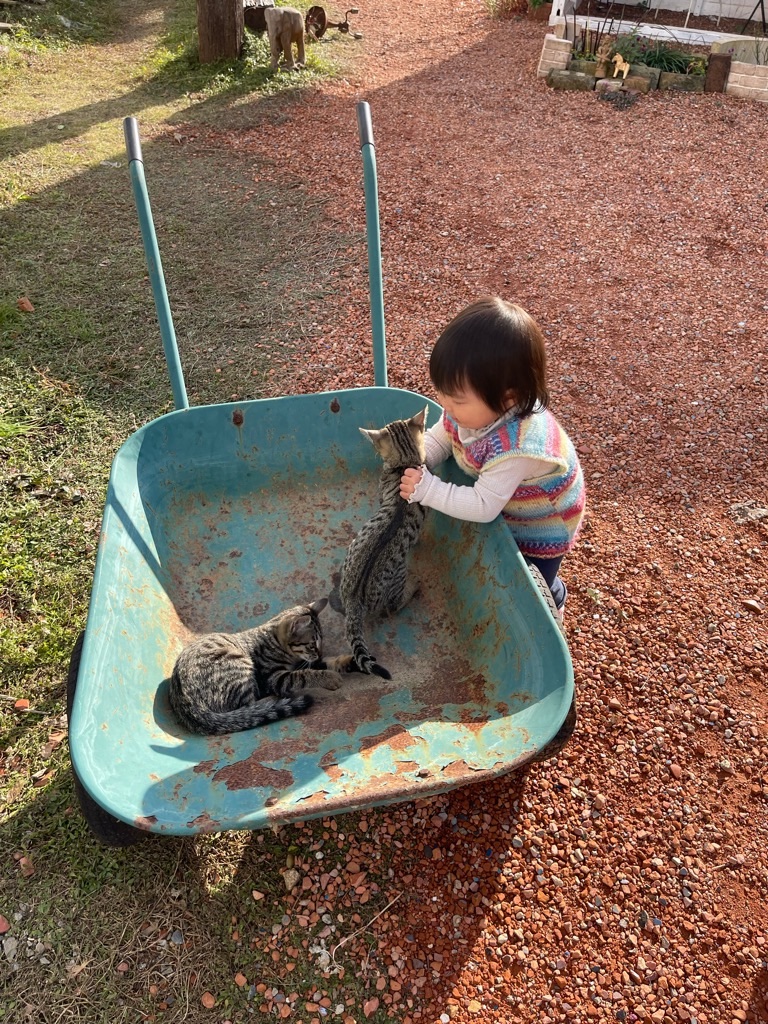 f:id:zappa38:20211114200432j:image