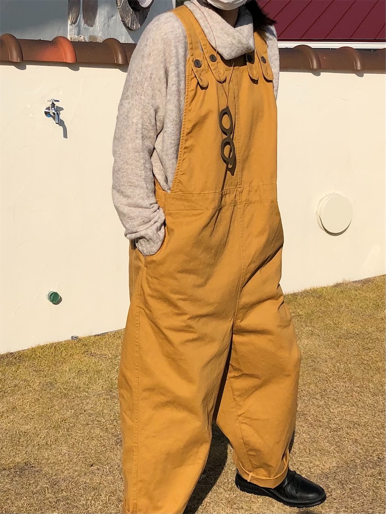 f:id:zappa38:20211119162222j:image f:id:zappa38:20211119162222j:image